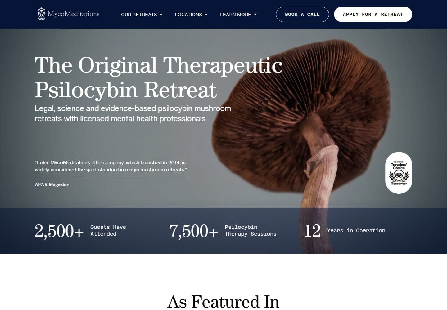 Current public site visual for Myco Meditations · continuous redesign